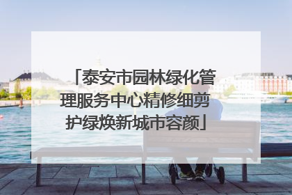 泰安市园林绿化管理服务中心精修细剪护绿焕新城市容颜
